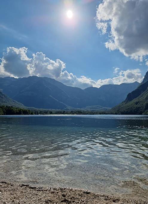 Comfy Mountain Nest Holiday home Mojstrana
