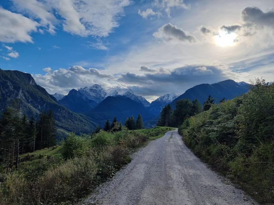Vakantiehuis Comfy Mountain Nest Mojstrana
