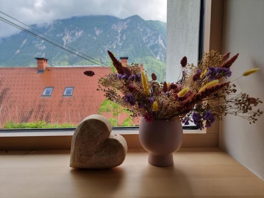 Comfy Mountain Nest *
